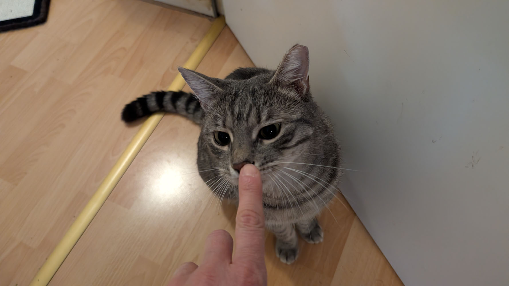 Jazz und Blues Slider (10)