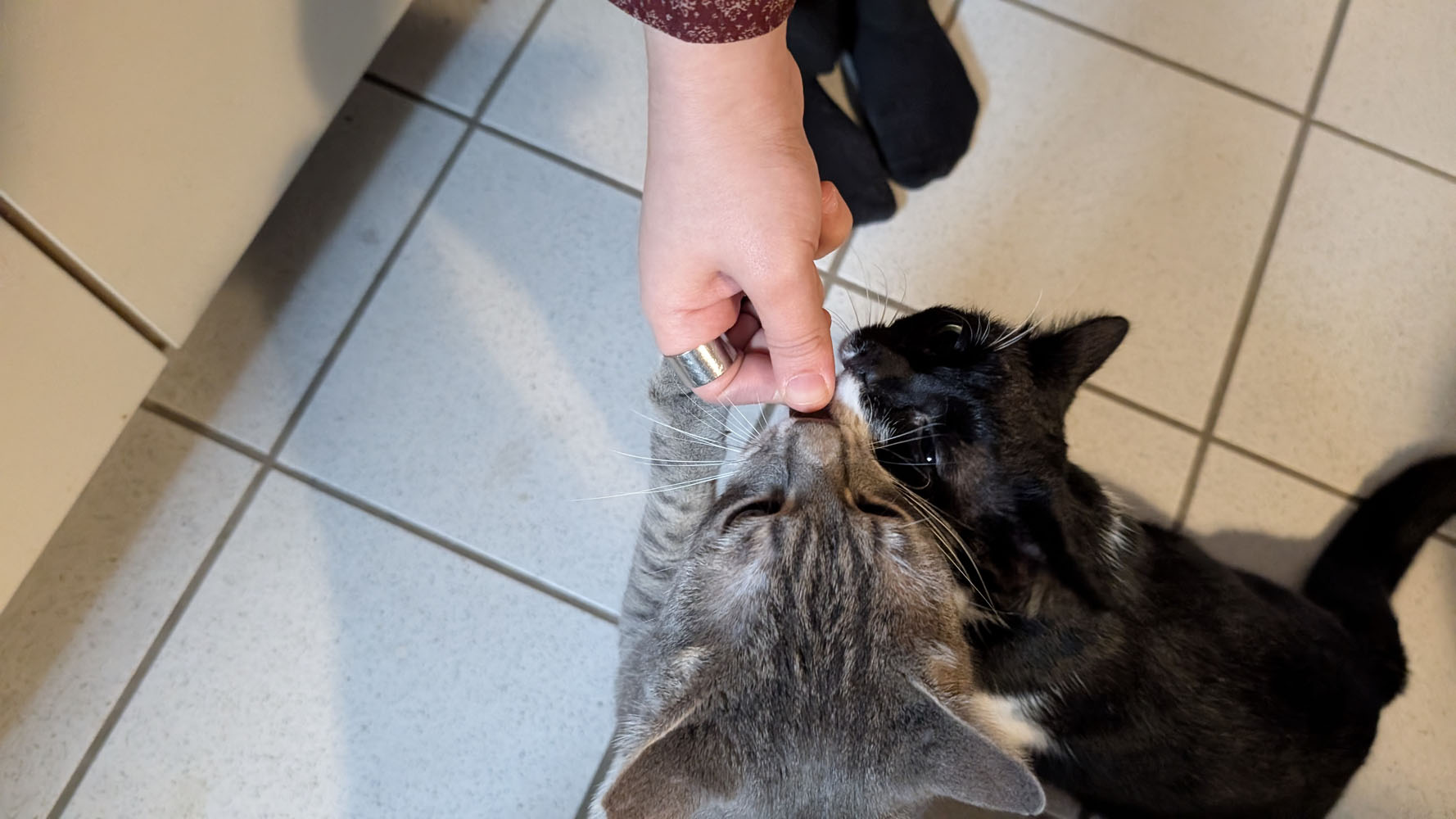 Jazz und Blues Slider (13)