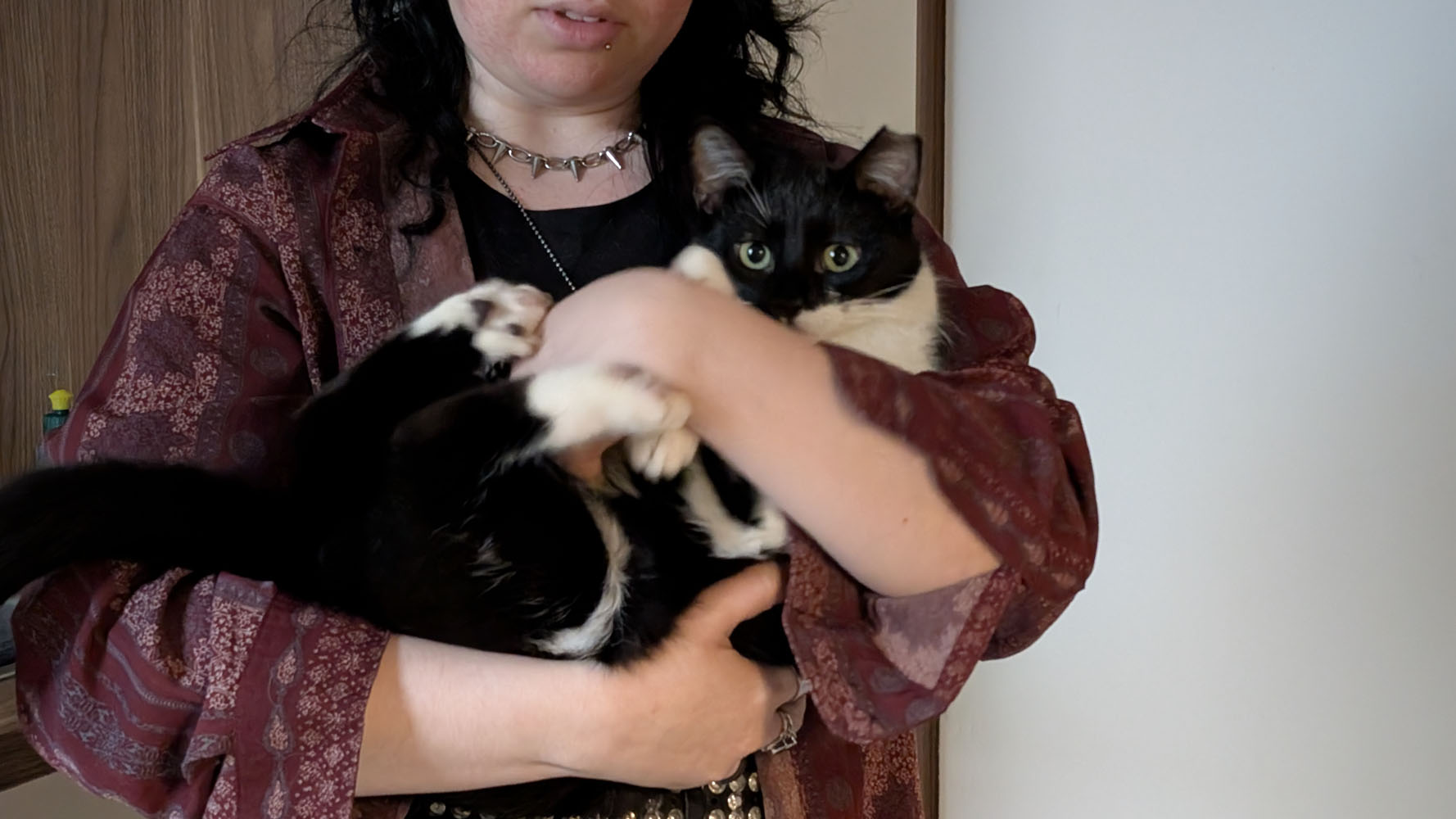 Jazz und Blues Slider (3)