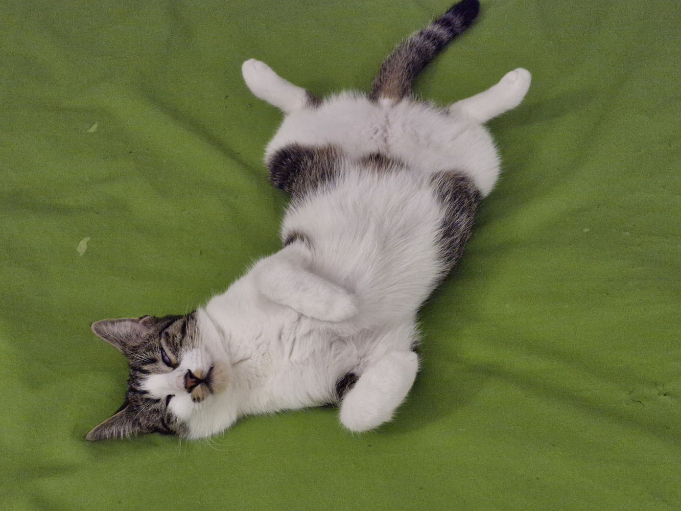 Joy + Nicca Slider (4)