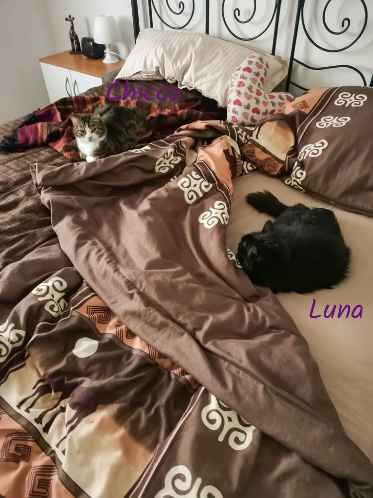 Luna + Chicco Artikel Slider (11)