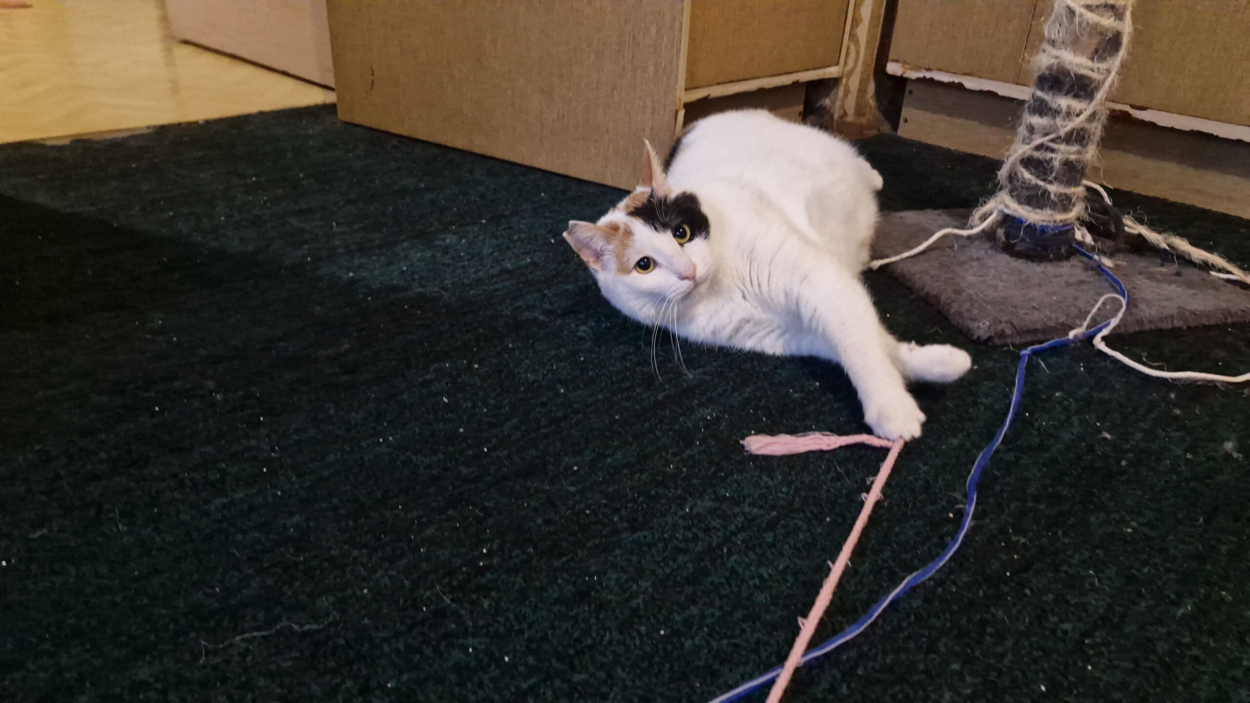 Peppi+Pat slider (4)