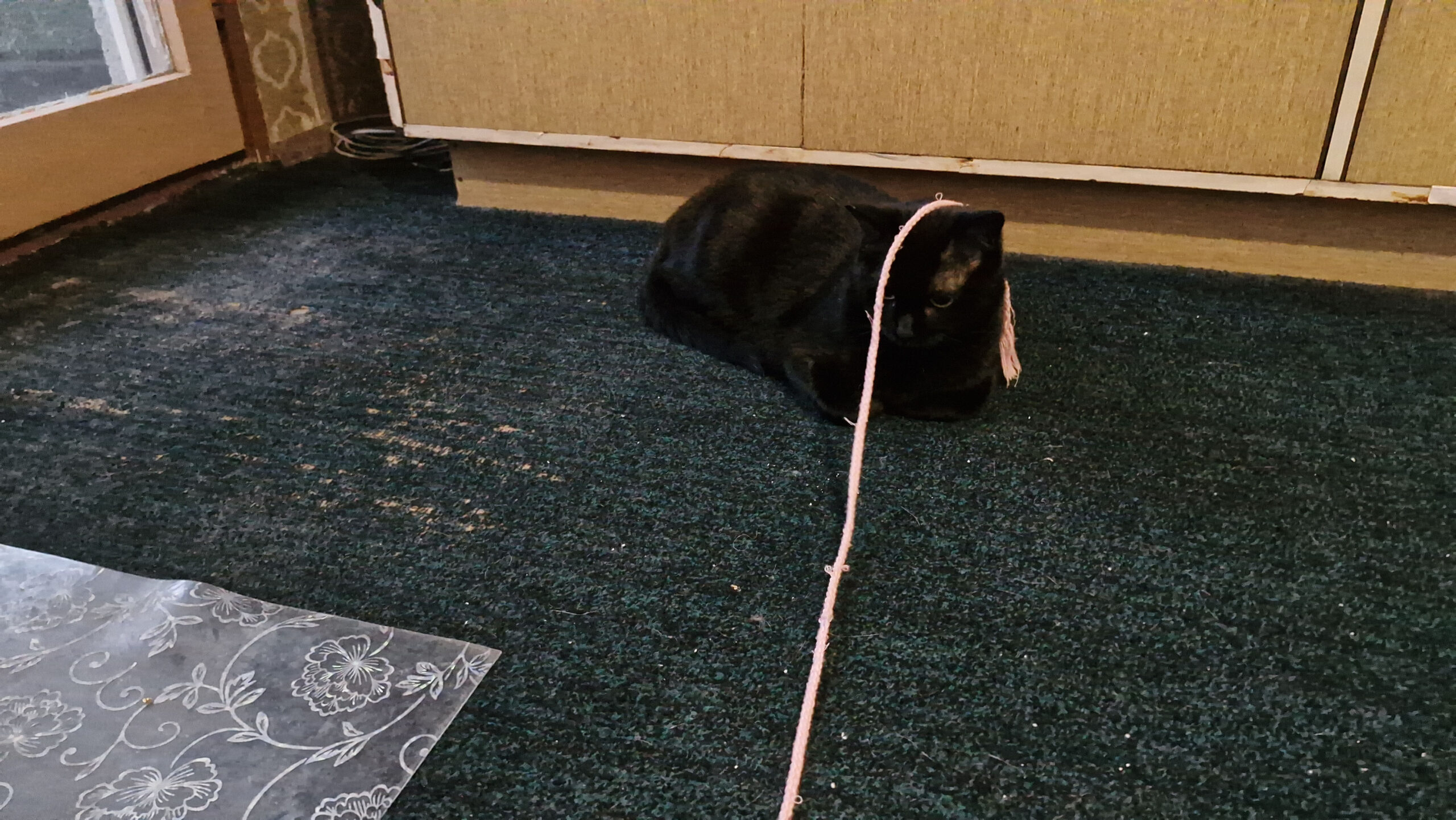 Peppi+Pat slider (7)